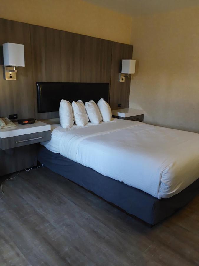 Lavissh Inn And Suites Bellingham Dış mekan fotoğraf