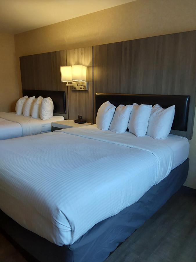 Lavissh Inn And Suites Bellingham Dış mekan fotoğraf