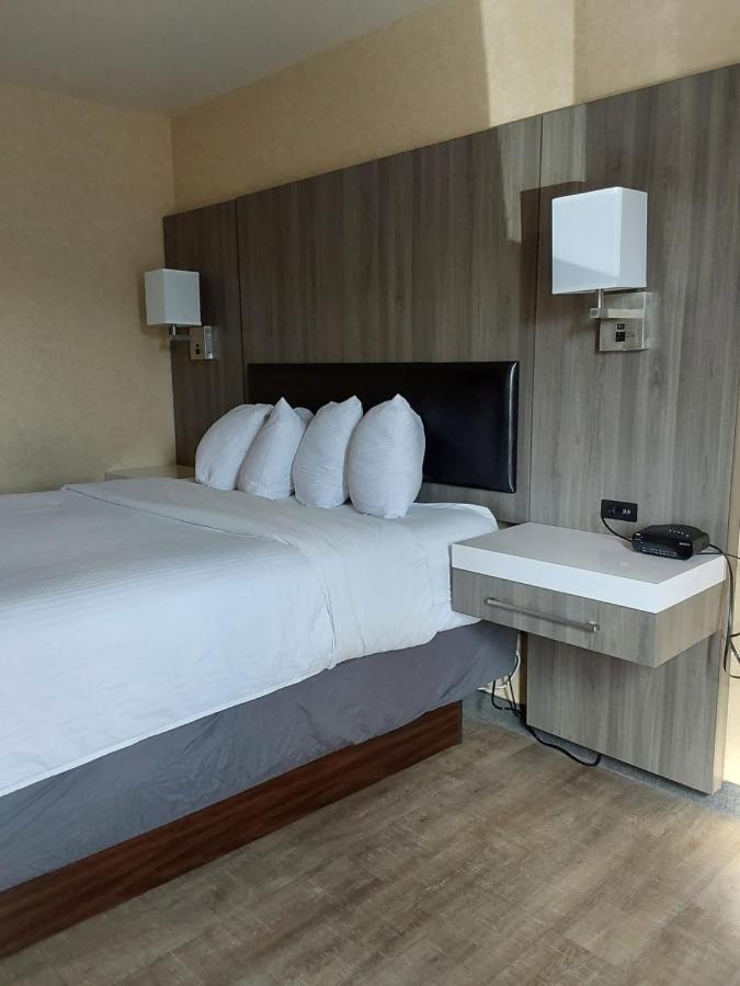 Lavissh Inn And Suites Bellingham Dış mekan fotoğraf