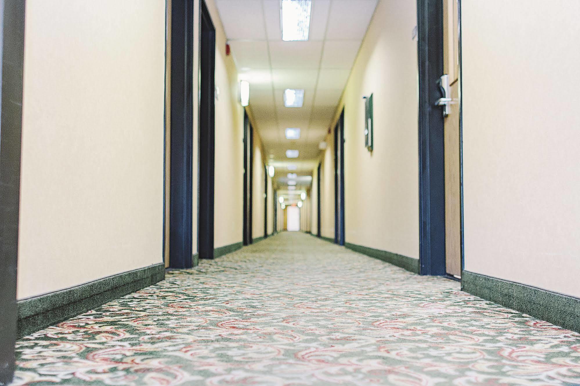 Lavissh Inn And Suites Bellingham Dış mekan fotoğraf